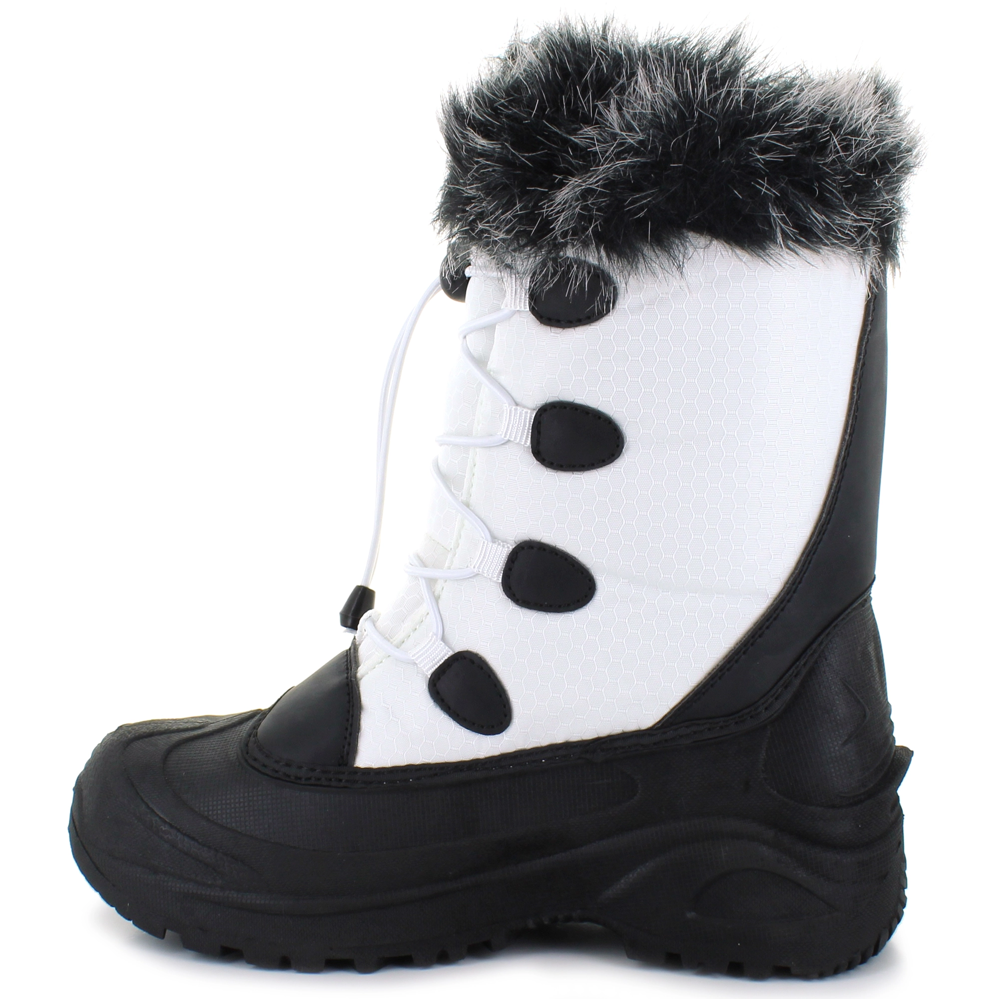 Itasca Vixen - Image 2