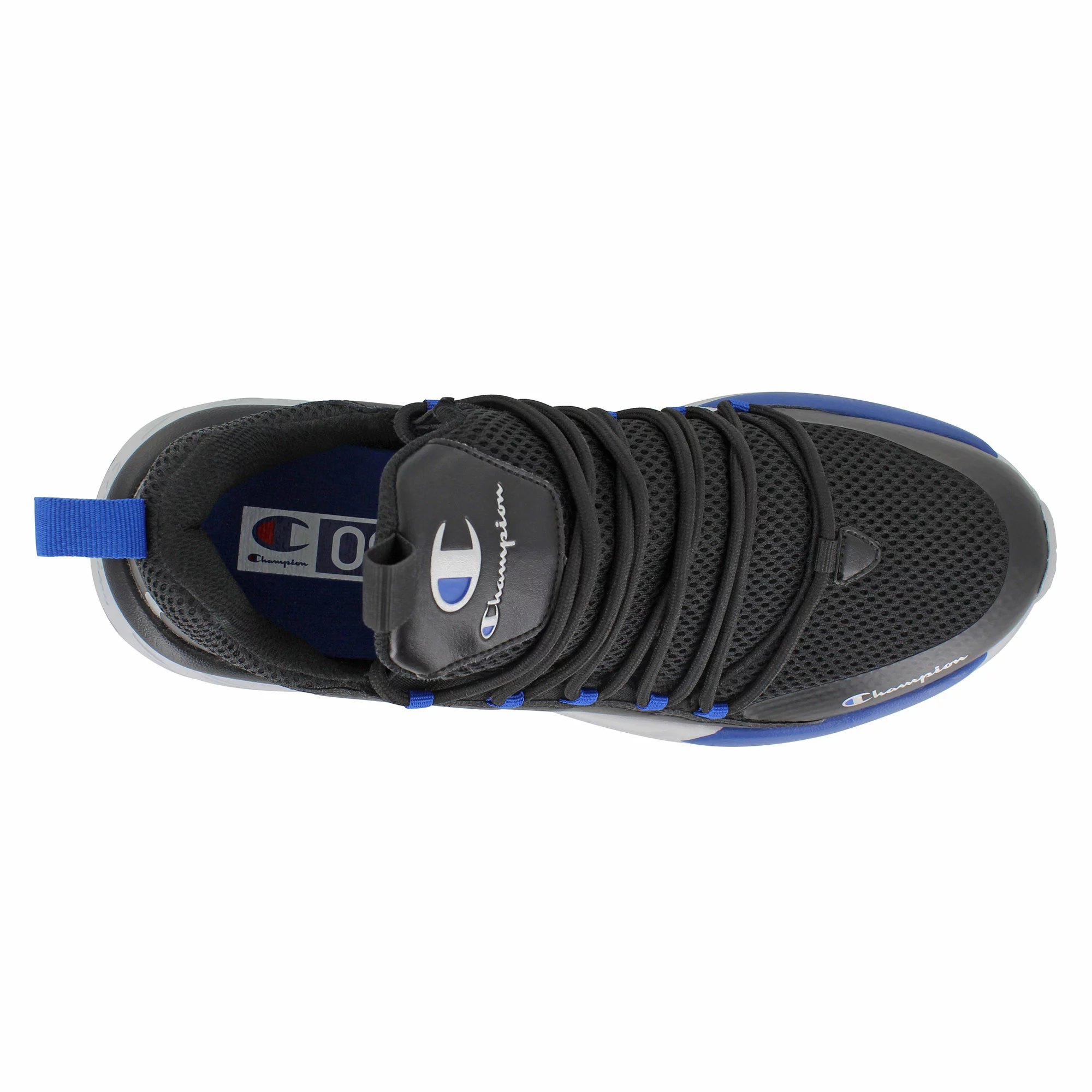 Champion Kinna Verve - Image 5