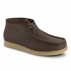 Savannah Harbor Hawk